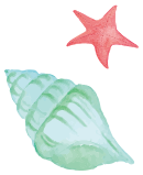 貝殻