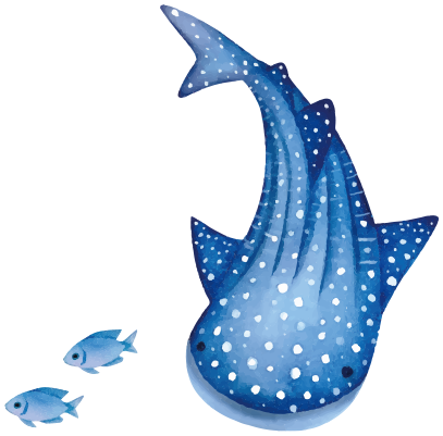 ジンベイサメ